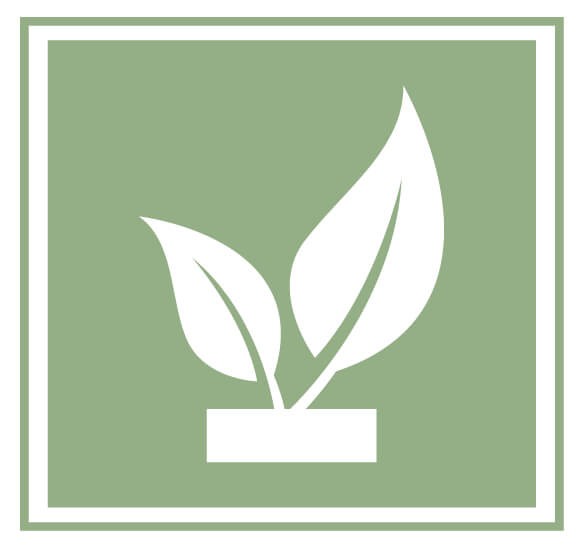 ecomenities logo 2 white leaves green background